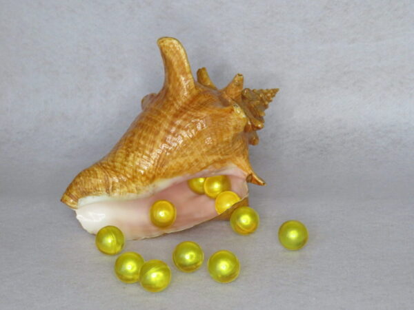Perle de bain