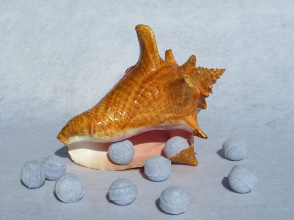Mini bille