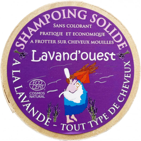 Shampoing solide